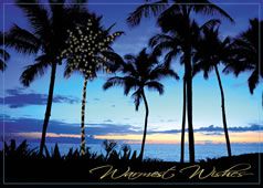 Palm Tree - warm weather personalized Christmas Cards